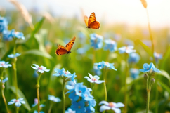 Blue Flower With Butterfly Background Product Image 1