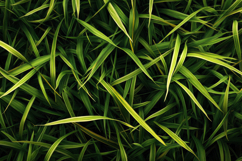 Forest Grass Background Wallpaper Product Image 1