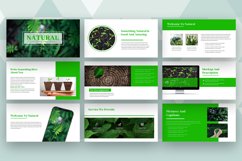 Natural - Keynote Template Product Image 2