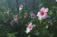 Pink Hibiscus Flowers Background Product Image 1