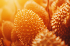 Durian Background Wallpaper Product Image 1