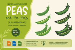 Green Peas and Pea Pods Vector Set Product Image 1