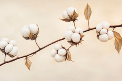 Cotton Plant Background Product Image 1