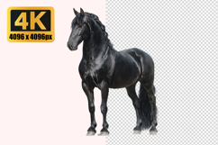 Black Horse Transparent PNG Product Image 1