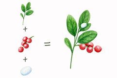 Watercolor wild berry clipart Red lingonberry Summer sticker Product Image 9