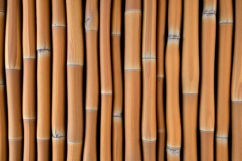 Bamboo Fence Background Product Image 1