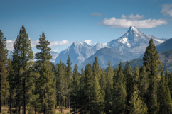 Mountain Range with a Forest Background Wallpaper Product Image 1