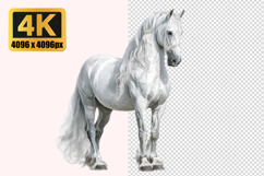 White Horse with a Long Tail Transparent PNG Product Image 1