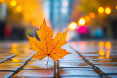 Maple Leaf Background Wallpaper Product Image 1