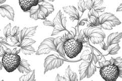 Raspberry Branch Drawing Ink Sketch Background Wallpaper Product Image 1