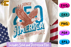 Since 250 America SVG, PNG, 1776-2026, Bald Eagle, July 4th Product Image 1