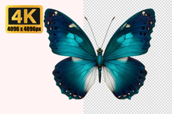 Light Blue Morpho Butterfly Transparent PNG Product Image 1