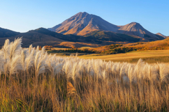 Nature Background Wallpaper Product Image 1