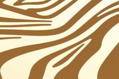 Zebra Print Pattern Background Product Image 1