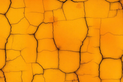 Cracked Soil Background Product Image 1