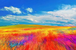Colorful Field Background Wallpaper Product Image 1