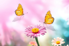 Pink Flower With Butterfly Background Product Image 1