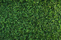 Green Grass Texture Background Wallpaper Product Image 1