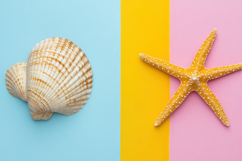 Starfish and Seashel with Colorful Background Wallpaper Product Image 1