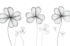 Clover Leaf Line Art Background Product Image 1