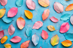 Colorful Leaves Background Wallpaper Product Image 1