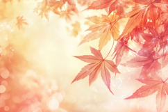 Japanese Maple Leaves Background Wallpaper Product Image 1