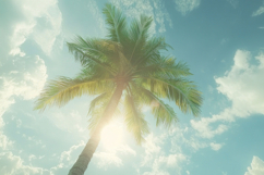 Coconut Tree With Blue Sky Background Product Image 1