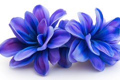 Purple Flower Background Product Image 1