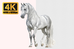 Arabian Horse Transparent PNG Product Image 1