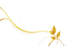 Yellow Leaves With White Background Product Image 1