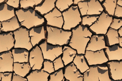Cracked Desert Floor Background Product Image 1