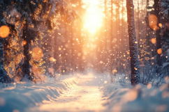 Winter Snow Background Wallpaper Product Image 1