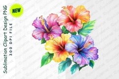 Watercolor Painting Of Colorful Hibiscus Flowers Clipart Product Image 1