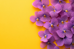Purple Flowers with Yellow Background Wallpaper Product Image 1