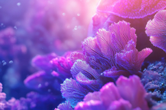 Corals Background Wallpaper Product Image 1