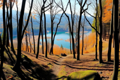Autumn And Nature Background Product Image 1