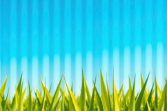 Green Grass With Blue Background Product Image 1