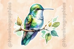 Humming Bird|Printable Animal Sticker Product Image 2