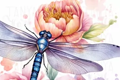 Dragonfly PNG Digital Downloads, Insect Illustration Product Image 6