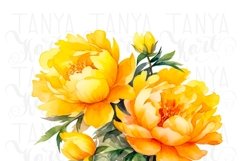 Yellow Peonies PNG Digital Download Botanical Floral Sticker Product Image 4