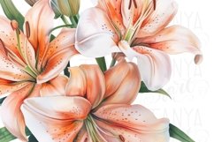 Digital Lily Plants Printable Art Spring Florals Sublimation Product Image 5