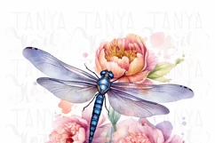Dragonfly PNG Digital Downloads, Insect Illustration Product Image 5