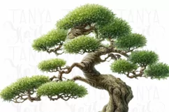 Bonsai Tree Sublimation Print, PNG Digital Downloads Product Image 5