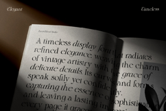 Blither Herasi Product Image 5