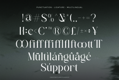 Brettaline - Family Serif Font Product Image 10