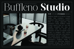 Brettaline - Family Serif Font Product Image 3