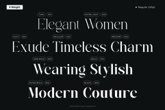 Brettaline - Family Serif Font Product Image 8