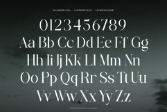 Brettaline - Family Serif Font Product Image 9