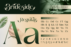 Brideside Product Image 2