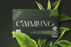 Brideside Product Image 7